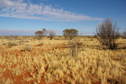 #5: Looking West From Confluence