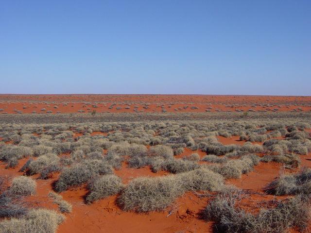 Blazing red sandhills from horizon to horizon