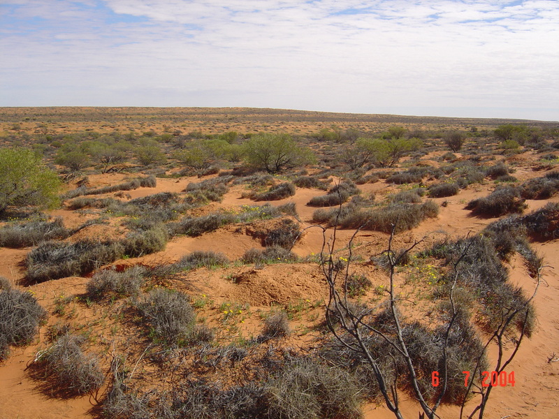 View of general area