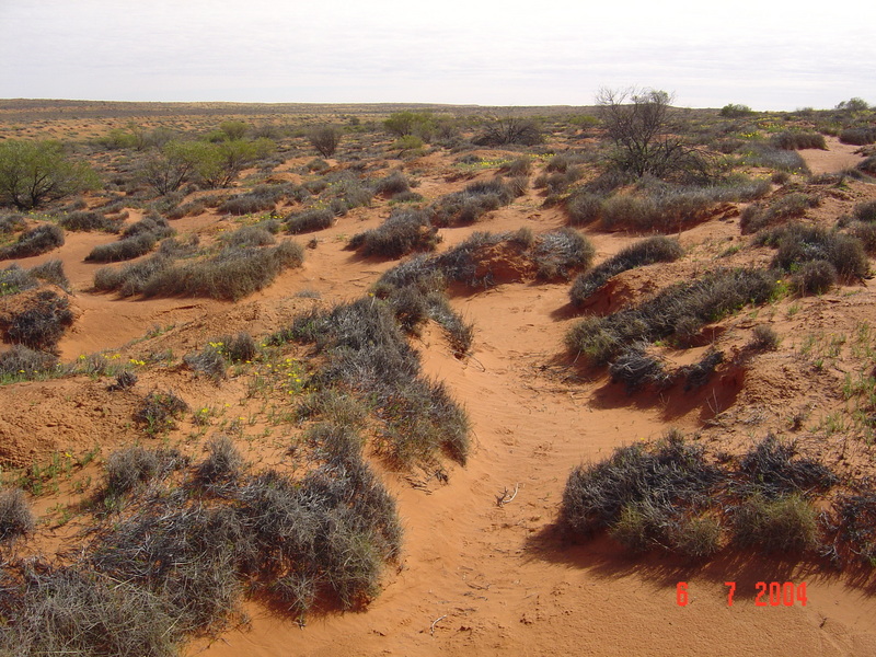 View from confluence looking north