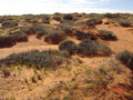 #4: View from confluence looking east