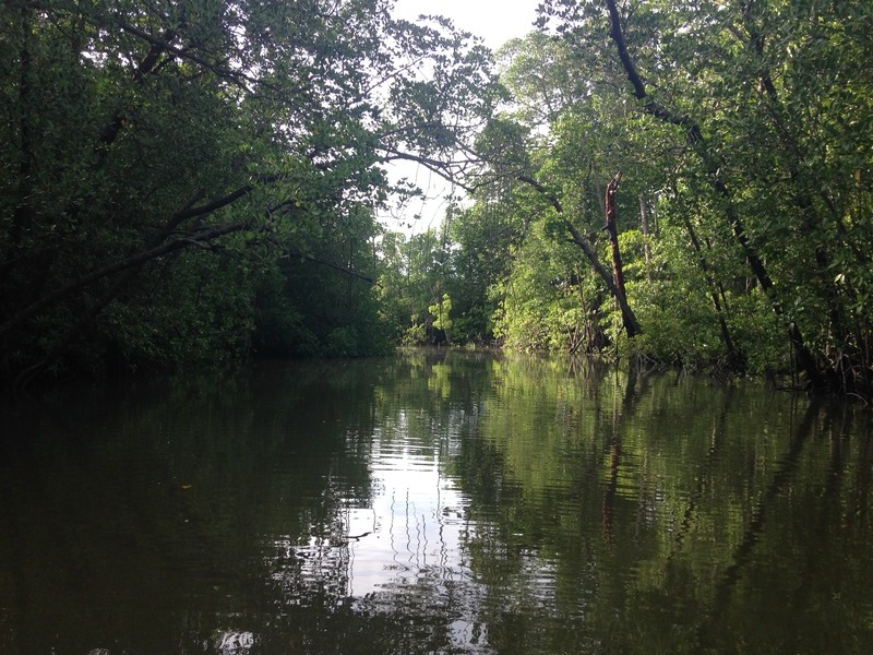 Looking NE from creek bank, some 1500 m from confluence