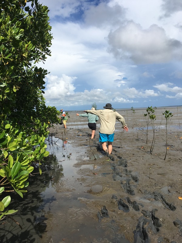 #3: Typical mudflats at low tide