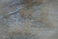 13°S 143°E preview image