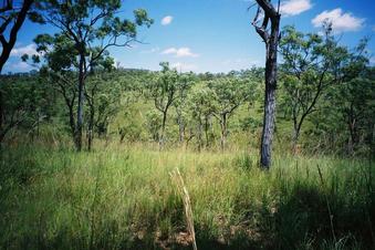 #1: View toward the confluence