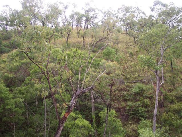 Looking towards confluence 1.25km away