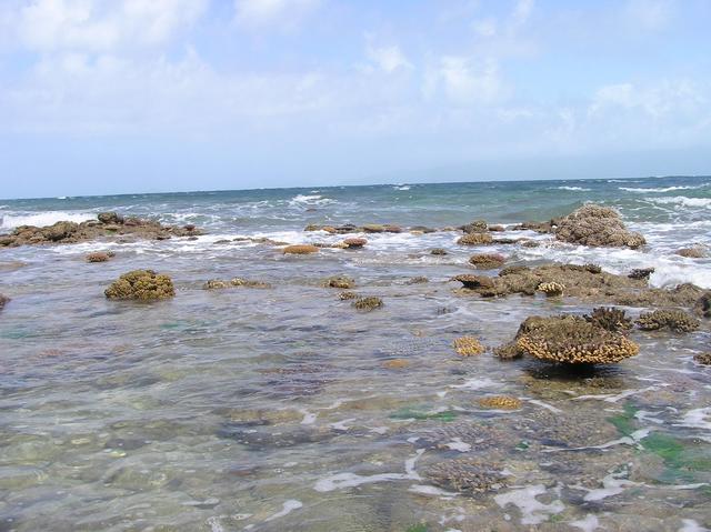 The confluence point is about 6.6 km past this coral reef