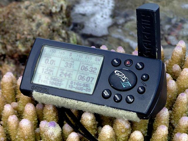 My GPS receiver (and coral).  This is about as close as you can get to the confluence on land.
