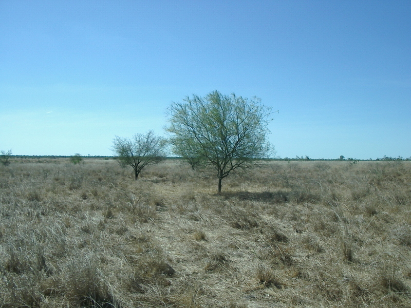 View from the confluence point, looking north