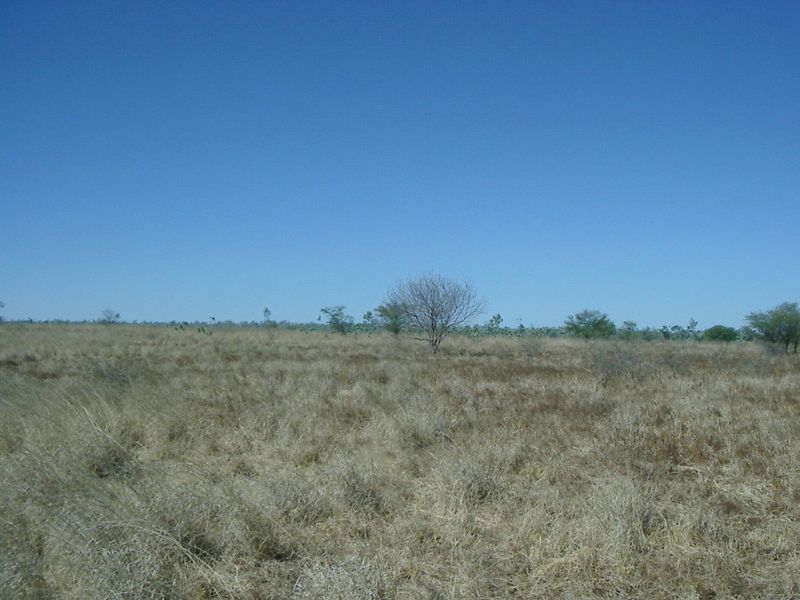 View from the confluence point, looking east