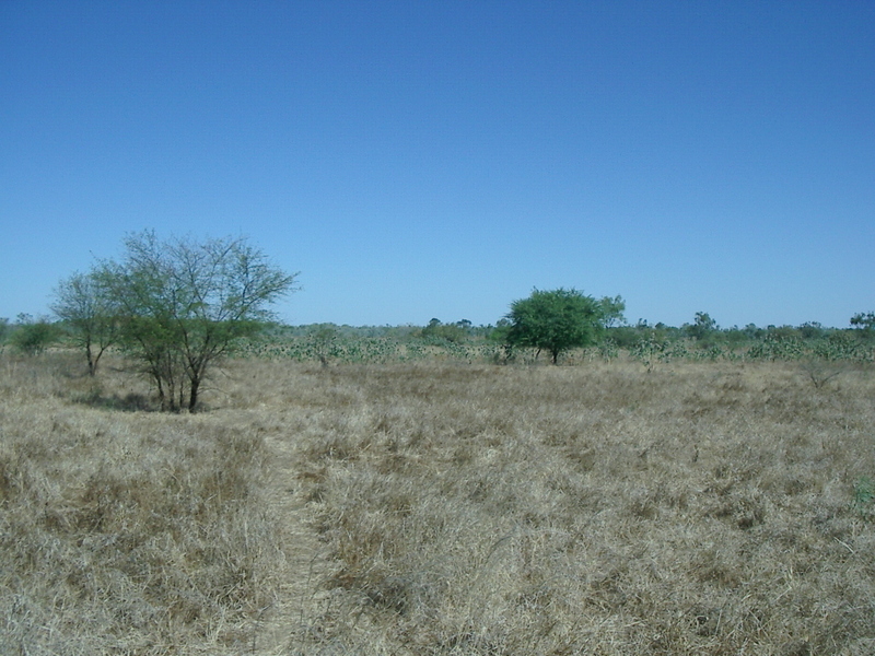 View from the confluence point, looking south