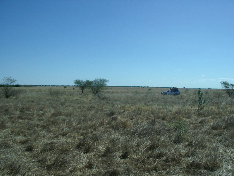 View from the confluence point, looking west