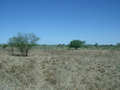 #3: View from the confluence point, looking south