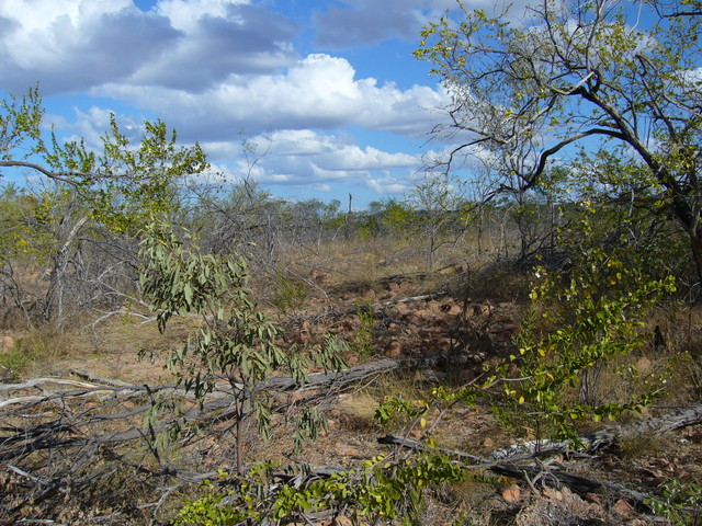 Looking southeast towards the confluence site