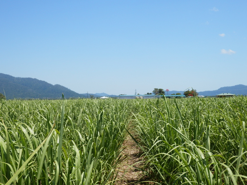 View to the North