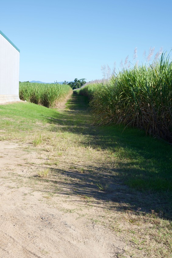 Looking south from the paved road down the farm path towards the point, 400 m away