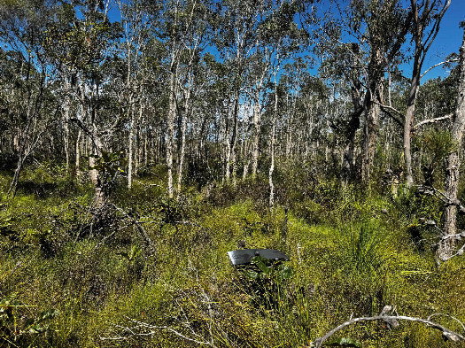 #1: der Confluence Punkt (Dies ist auch ein Blick nach Norden)