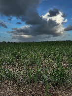 #3: Blick nach Osten