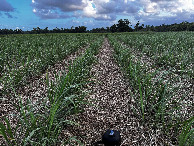 #4: Blick nach S&uuml;d