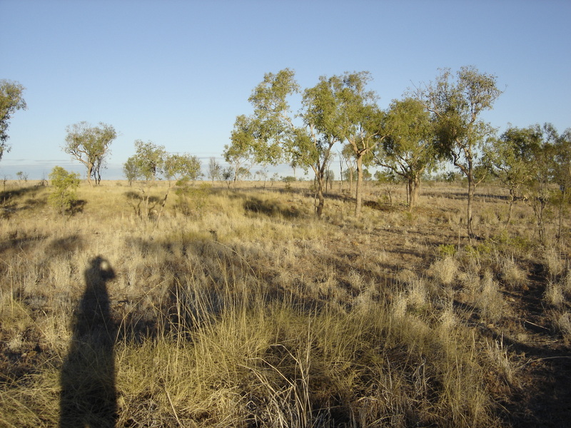 General view of area