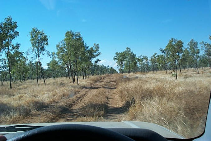 The road north through Kamillaroi.