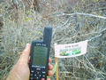 #3: Our flag at the confluence with the usual blurry GPS shot.