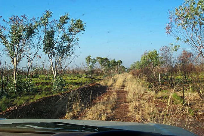 The track home.  I’d travelled 1200 km over tracks like this on my northwest Queensland trip.