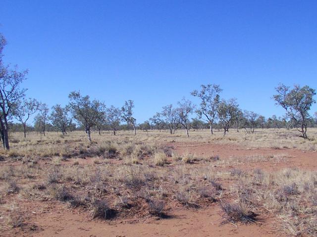 View to the east