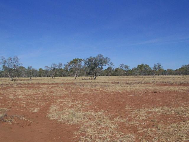 View to the south