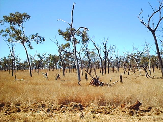 Looking northeast towards the confluence