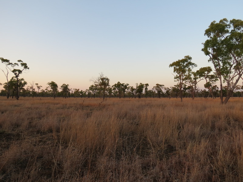 View to the South