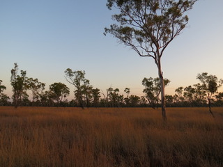 #1: View to the North