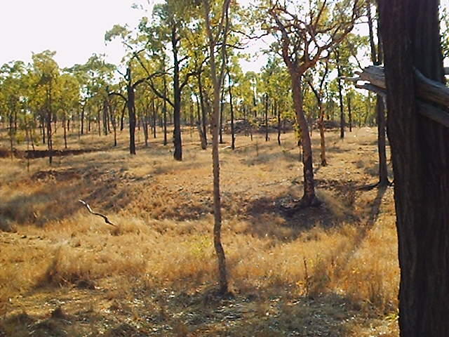 The point was on the rocky hill in the right background.