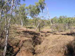 #1: General view from near confluence