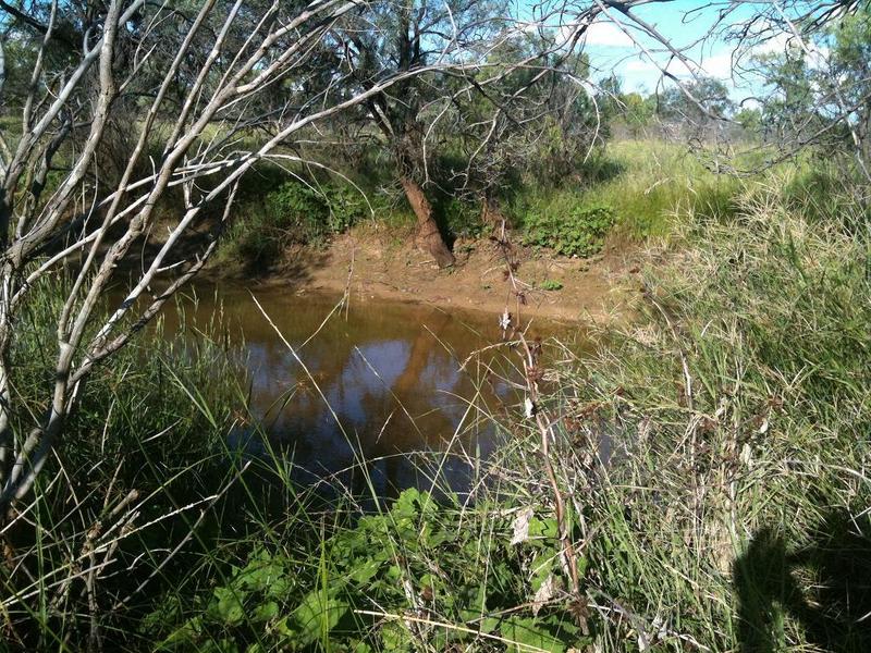 East into the creek