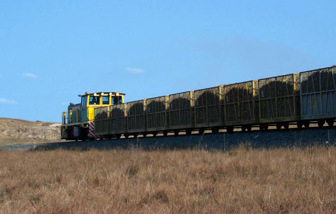 Cane train with sugar cane for the mill.