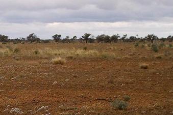 #1: Looking East