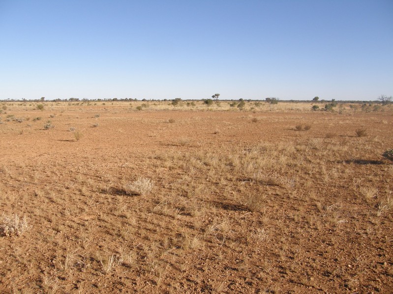 Looking South