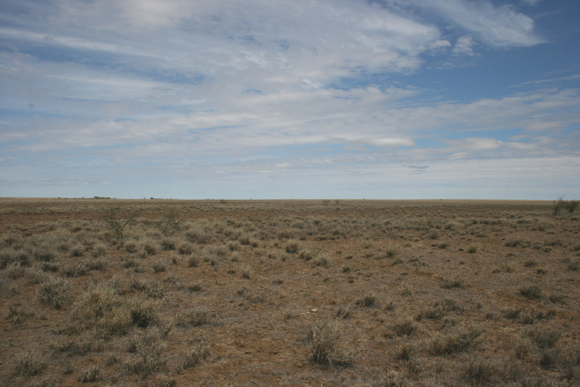 View South