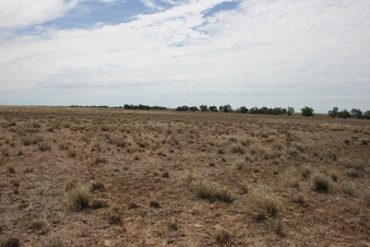 #1: View of confluence looking North