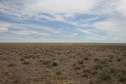 #5: View West