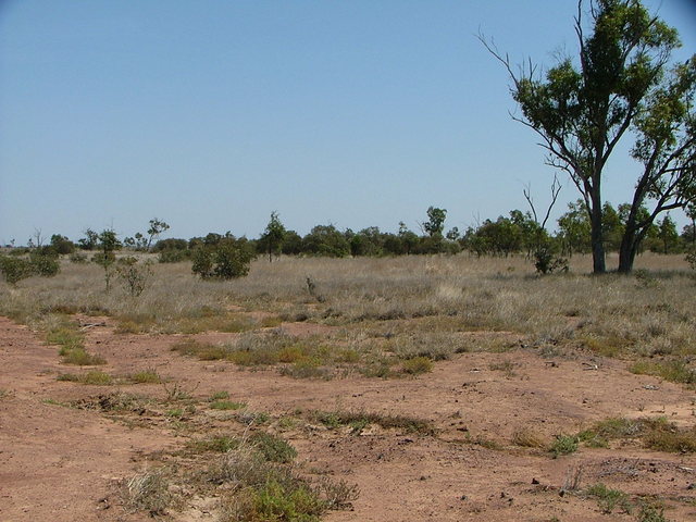 View west