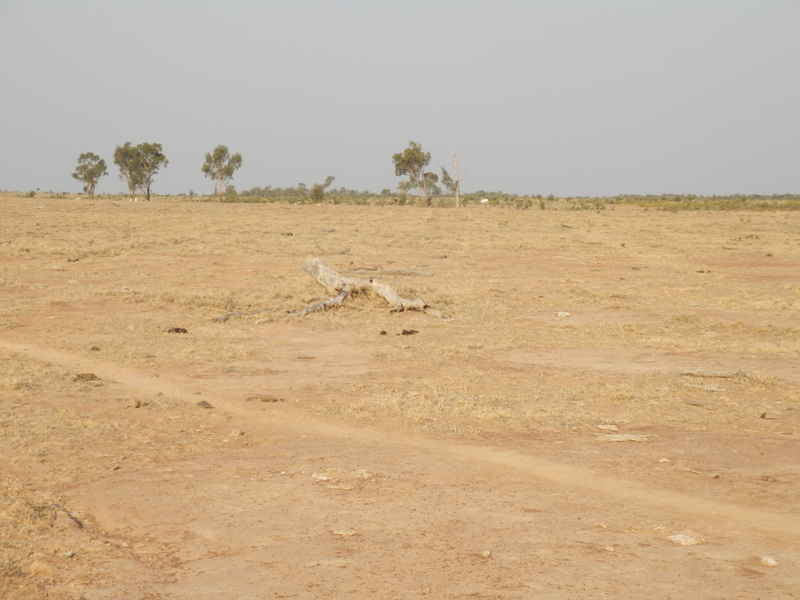 View to the East
