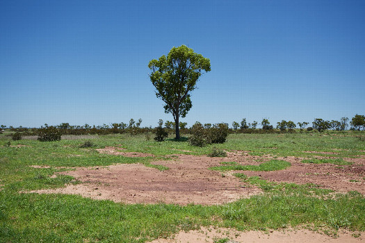 #1: The confluence point lies in ranch land.  (This is also a view to the West.)