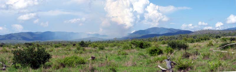 From the road 4 km away, the confluence is just to the right of the bushfires in the hills