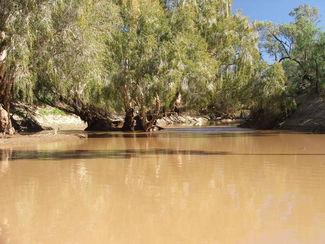 Midgingar Waterhole, Georgina River nr "Ormiston"