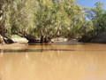 #9: Midgingar Waterhole, Georgina River nr "Ormiston"