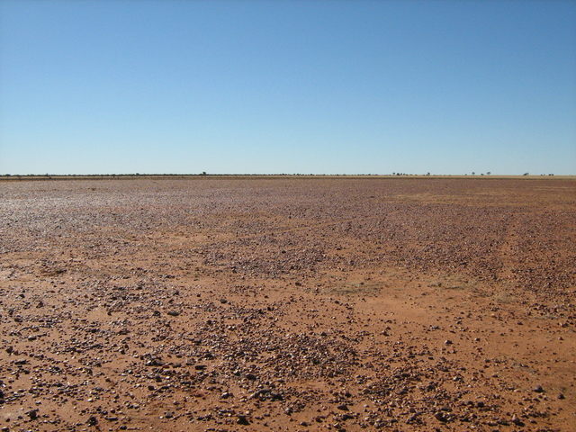 Looking North