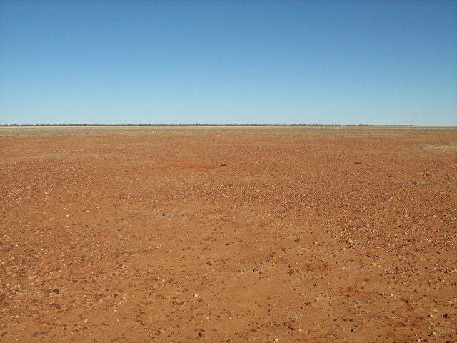 Looking South