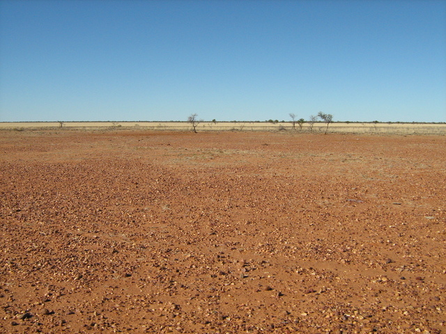 Looking East